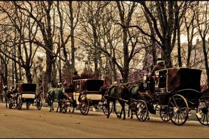 Im Zentrum die Stadt