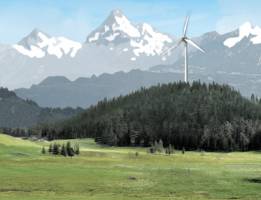 Immergr�ne Energie?