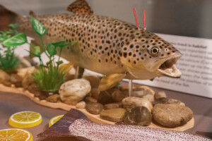 Innovation Corner - Ausstellung im Technischen Museum Wien