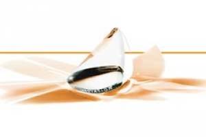 Innovation zahlt sich aus