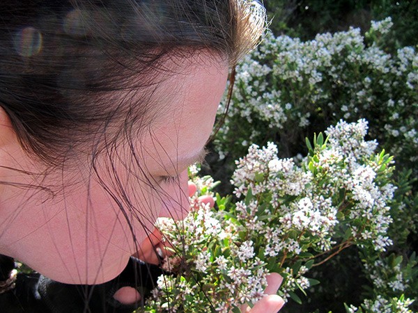 Was hinter D�ften und Geschm�ckern steckt, erkl�rt Wolfgang Kroutil heute um 18 