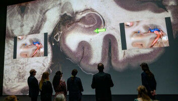 JKU medSPACE: Makro, Mikro und dazwischen - Innovationsschub in der Virtuellen Anatomie