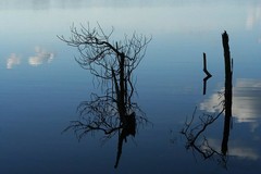 Extrem feucht ... (hier: Brasilien)     ... und extrem trocken (hier: Usbekistan
