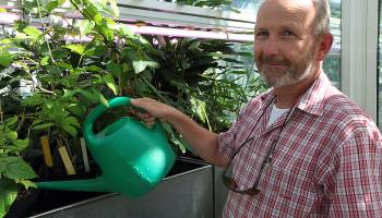 Kräuterwissen mit Weitblick