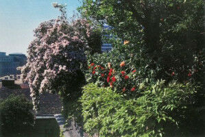 Landschaftsplanung und Gartenkunst an der TU Wien