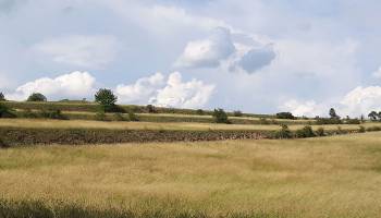 MaGICLandscapes: Gr�ne Infrastruktur als Zukunftschance f�r Regionalentwicklung