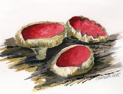 Skizze eines Becherlings: Die verschiedenen Pilzarten werden entlang des ,,Pilzp