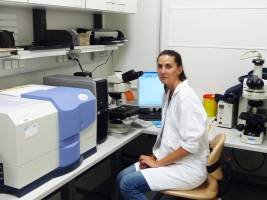 Mikropartikel statt Krankheitserreger