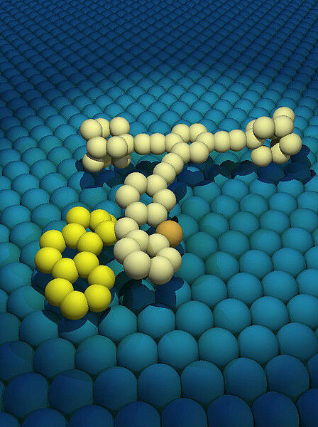 Nano-Maschinen wie diese sollen k�nftig aus der Ferne gesteuert werden und Frach