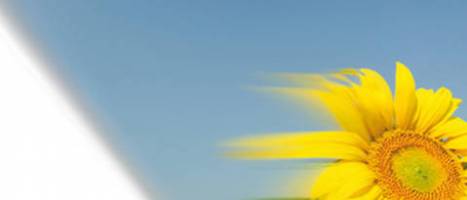 MSc-Programm ,,Renewable Energy in Central & Eastern Europe