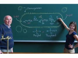 (N�hrstoff)-Not macht marine Mikroorganismen erfinderisch