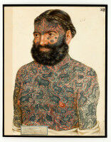 Neue Sonderausstellung im Josephinum widmet sich der Haut