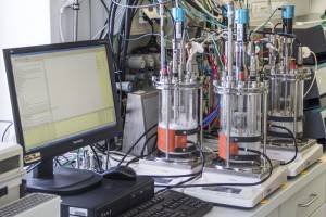 Neues Doktoratskolleg: Auf der Suche nach grünen Medikamenten