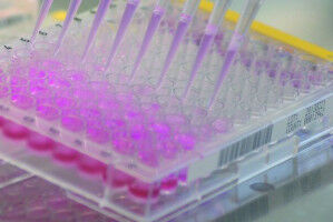 Neues Doktoratsprogramm: Technik trifft Medizin