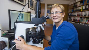 New Species Named after Salzburg Biologist: Award for World-class Research