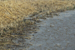 �sterreichs Niederschlag verschiebt sich in das Winterhalbjahr