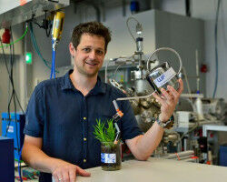 Pflanzen mit Strom f�ttern