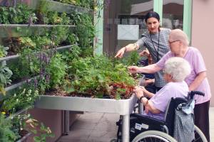 Pflegeheime werden gr�ner