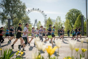 Pollen count forecast for the Vienna City Marathon: almost ideal conditions for participants