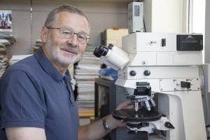 Salzburg Geologists Are Very Active in Iran