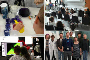 Seife und Salz, Atome und Licht. Kindergartenkinder entdecken Physik und Chemie