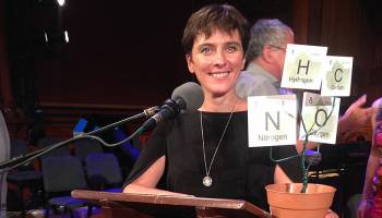 Sex im Harem: Ig-Nobelpreis für Universität Wien