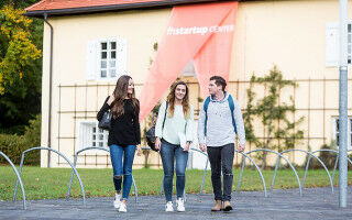 Startup Fellows: F�rderung von Innovation und Unternehmertum