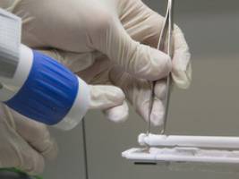 Strom direkt aus Diesel: CD-Labor soll Brennstoffzellen verbessern