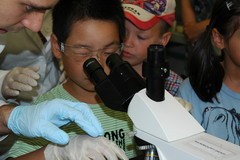 Mikrobiologieworkshop: Auf der Suche nach Schimmelpilzen     Besuch bei den Chem