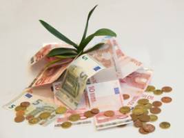 Umwelt oder Wirtschaftswachstum?