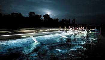 UNIVERSITY BOAT RACE & VIENNA NIGHTROW