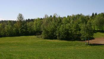 Verbindende Natur am Gr�nen Band Europas