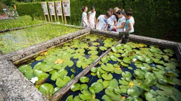 Water Day at the Faculty of Science, University of Salzburg