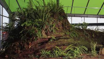 Wettbewerb f�r Kunstprojekt am Biozentrum Wien entschieden