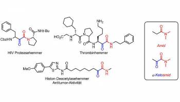 Wie man Oxidation z�hmt