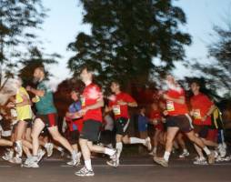 WIEN ENERGIE Business Run 2011