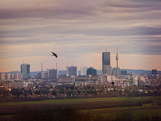 Wie hat der Strukturwandel die st�dtische �konomie bereits ver�ndert? Das uniMin