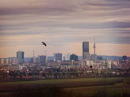 Wiens �konomie im Wandel