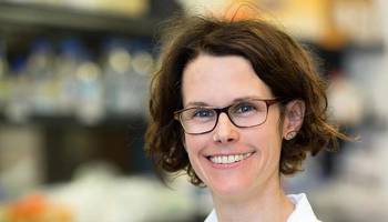 Zwei ERC Consolidator Grants